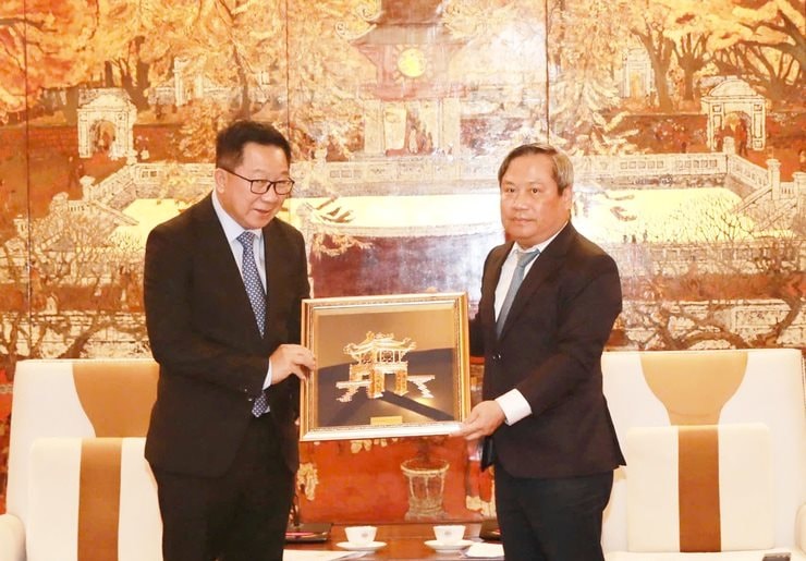 Lào báo tin vui hơn 6,2 tỷ USD cho Việt Nam, “đất nước triệu voi” sẽ làm một việc đặc biệt cho DN Việt - Ảnh 1