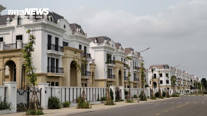 Phố đi bộ nghìn tỷ ở Bắc Ninh đìu hiu, biệt thự bỏ hoang cho cỏ mọc - Ảnh 3