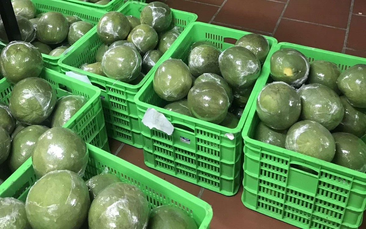 Tin vui: Loại quả Việt Nam trồng hơn 100.000 ha vừa chính thức có “visa” sang Trung Quốc