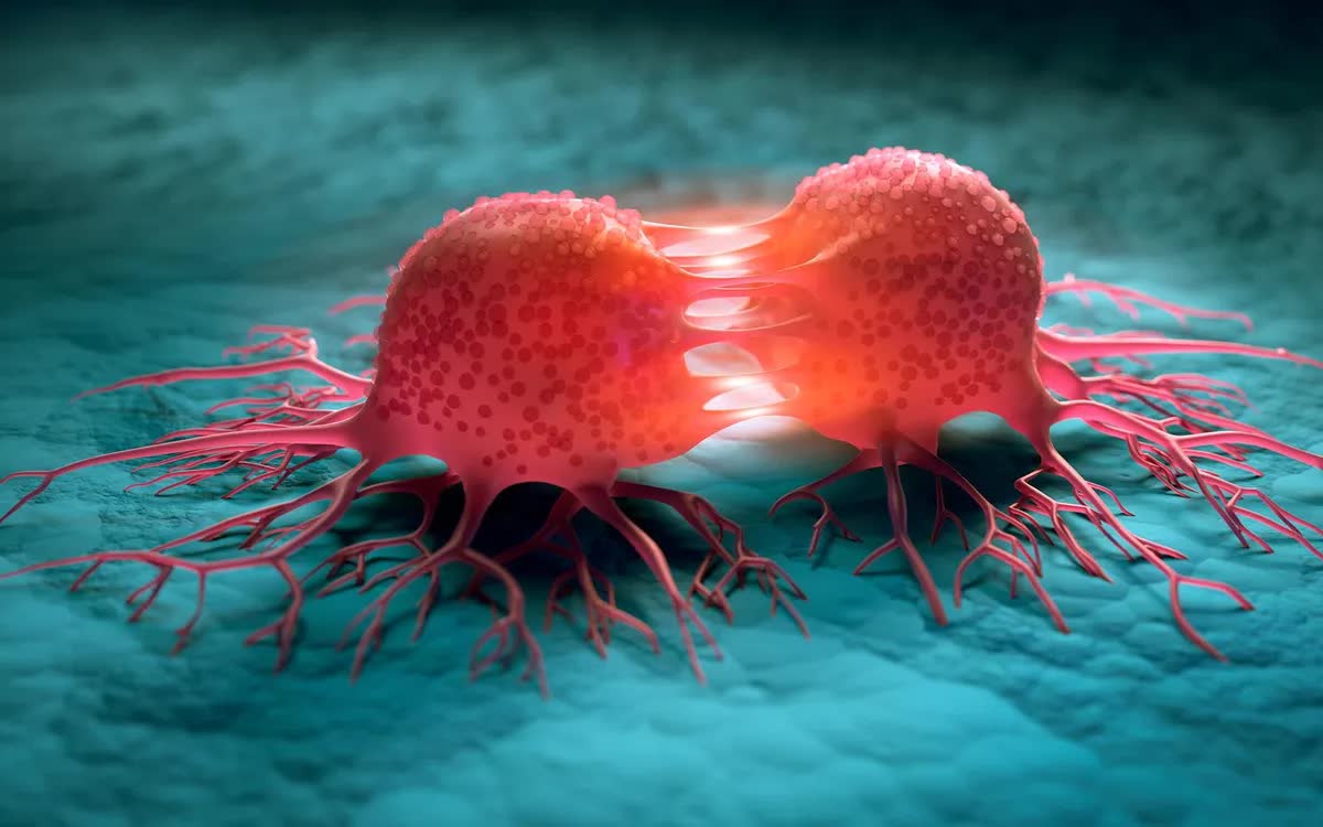 Canada phát triển vi khuẩn “ăn khối u”, mở hướng điều trị ung thư từ bên trong - Ảnh 1