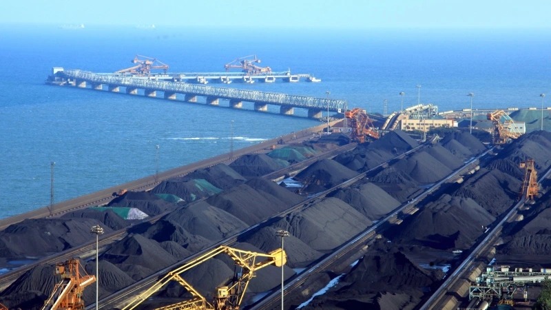 'Kim cương đen' của Việt Nam lên ngôi giữa 'cơn khát' năng lượng - Tăng mạnh hơn 100% về lượng, Nhật Bản, Indonesia tranh mua - Ảnh 2