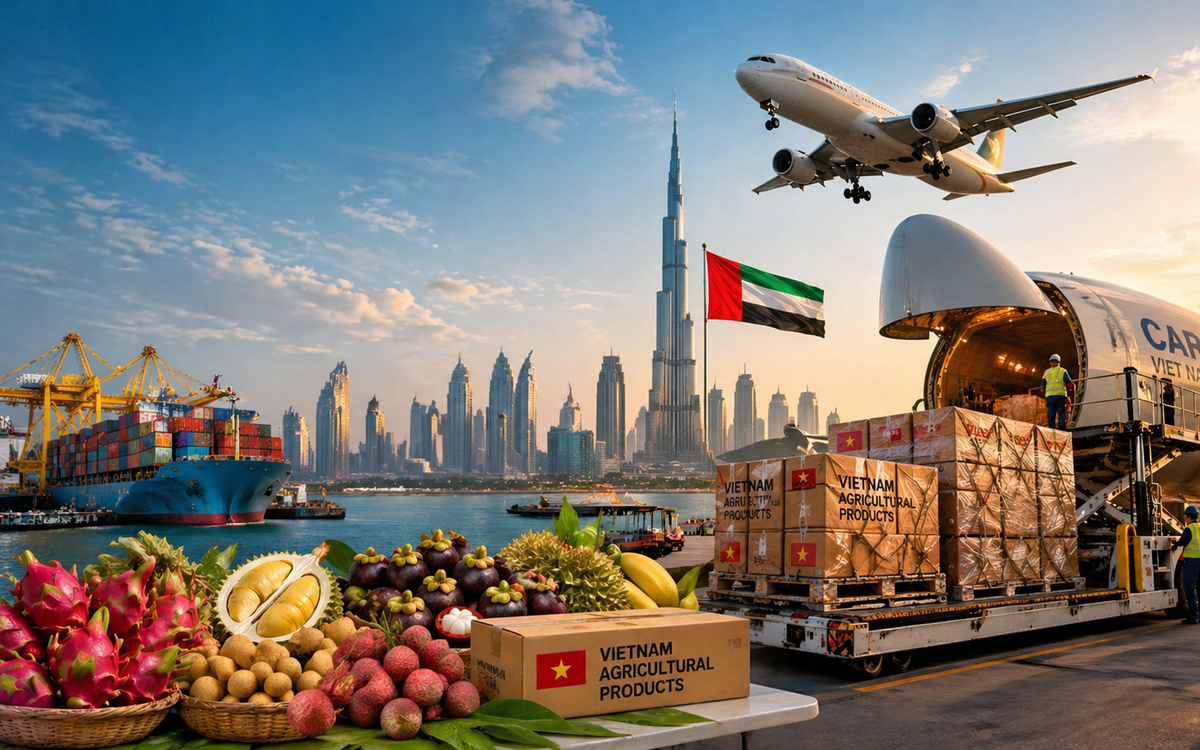 Lần đầu tiên siêu tập đoàn 8 tỷ USD thuê máy bay chở 100 tấn rau quả Việt, tin cực vui cho doanh nghiệp xuất khẩu sang Trung Đông