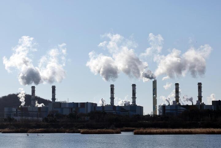 'Kim cương đen' của Việt Nam lên ngôi giữa 'cơn khát' năng lượng - Tăng mạnh hơn 100% về lượng, Nhật Bản, Indonesia tranh mua - Ảnh 3