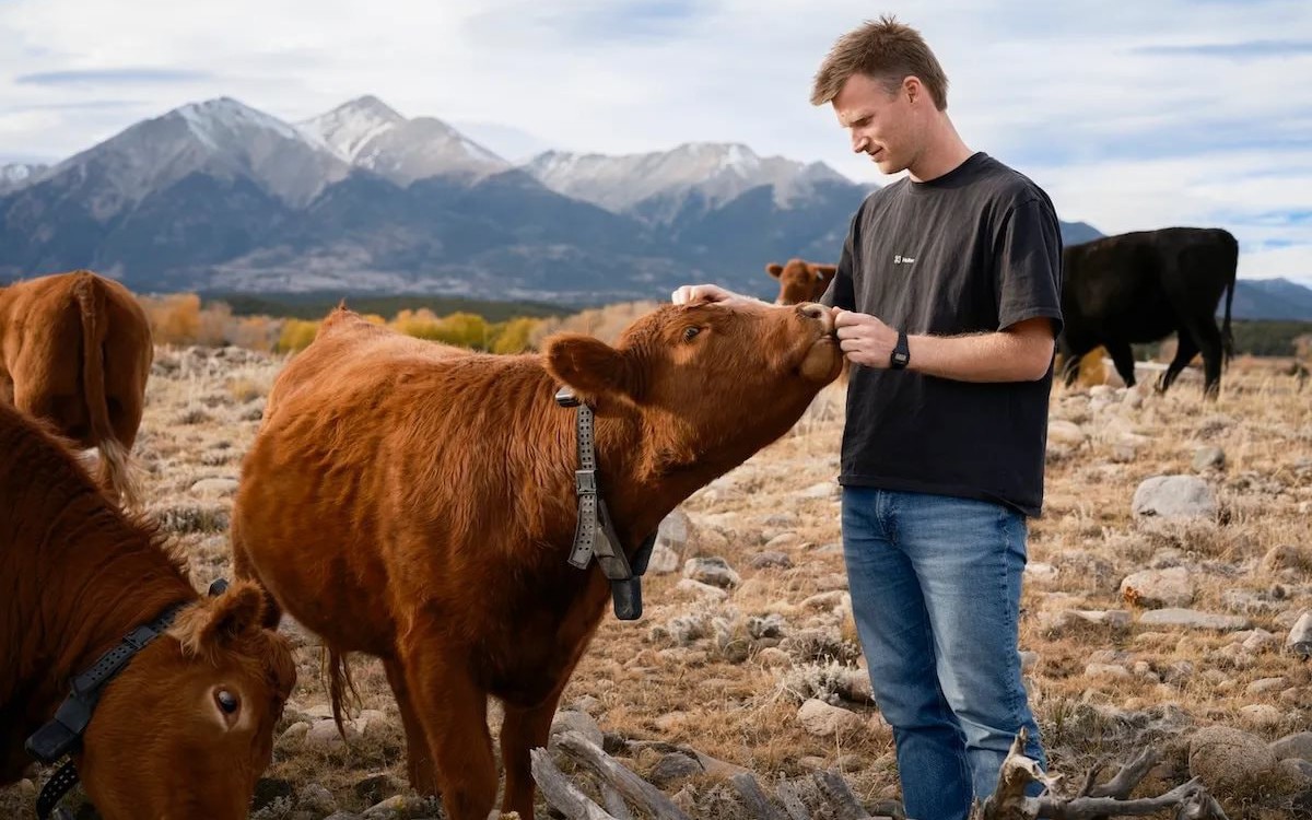 9 năm ám ảnh với vòng cổ bò, CEO 30 tuổi bị chê ngớ ngẩn khi khởi nghiệp, cuối cùng dựng lên startup 2 tỷ USD