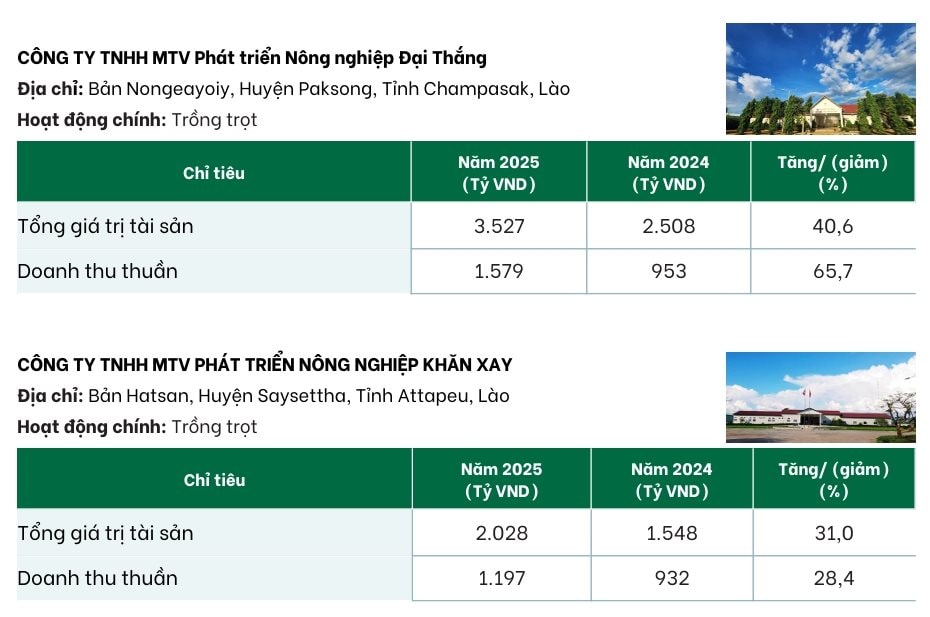 Sắp IPO công ty con, Bầu Đức tự tin: "Ai gan cam kết như HAGL, cổ tức tiền mặt 50% trong 3 năm" - Ảnh 3