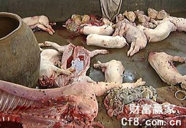 "Đại án" 1.000 tấn thịt lợn bẩn tại Trung Quốc: "Xác thối" hoá kiếp thành dầu ăn, xúc xích, quy trình khiến nhiều người rùng mình - Ảnh 1