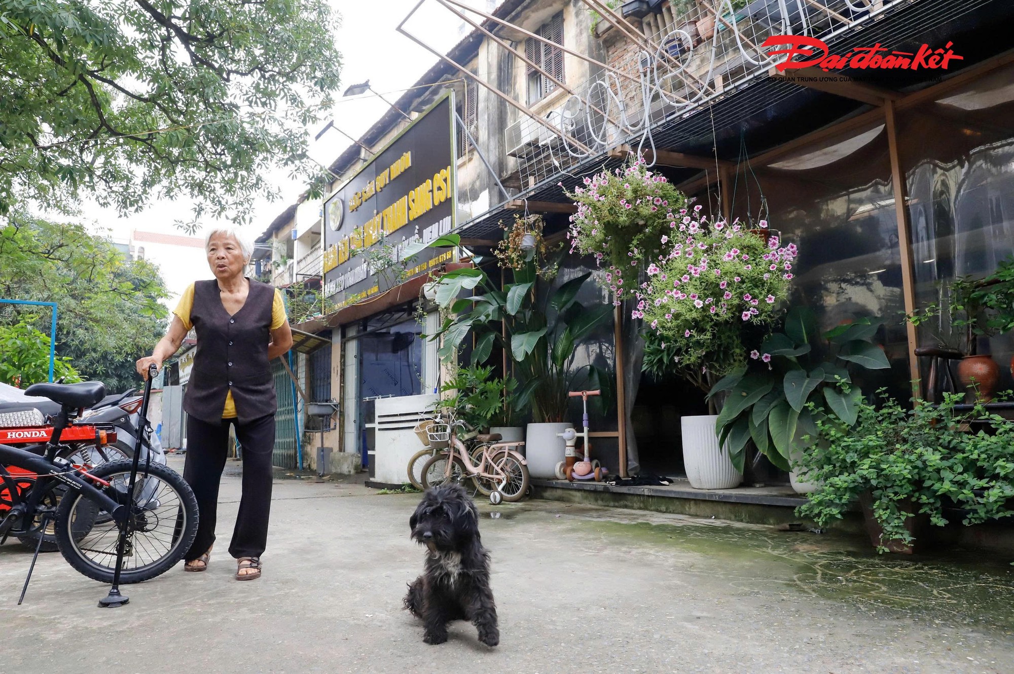 Toàn cảnh khu tập thể xuống cấp, Hà Nội sắp thay thế bằng chung cư 34 tầng - Ảnh 17