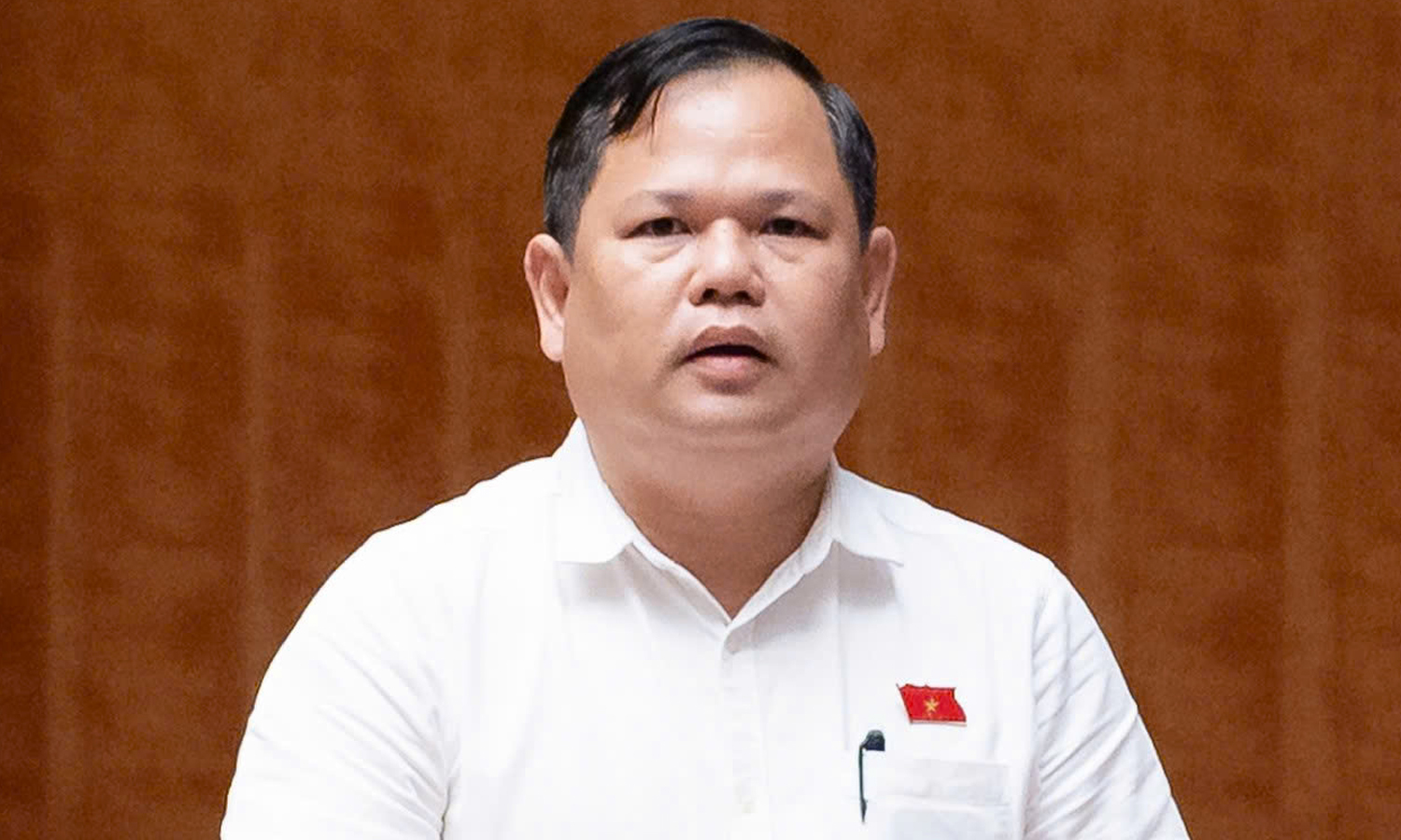 Đại biểu Quốc hội đề xuất ngưỡng chịu thuế với hộ kinh doanh lên 3 tỷ đồng/năm - Ảnh 1