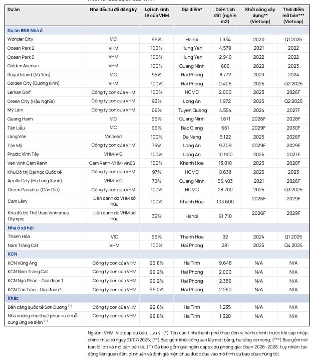 Không phải dự án nào gắn tên Vinhomes cũng là của Vinhomes: Giải mã các "ông chủ" tại 28 siêu dự án 38.000 ha - Ảnh 2