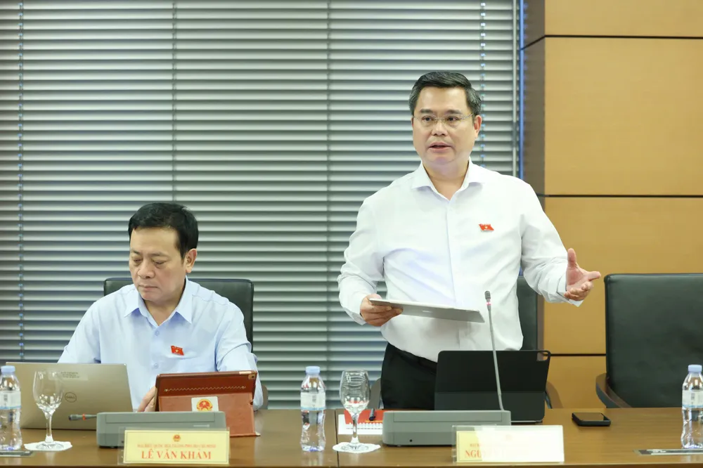 ĐBQH ủng hộ doanh thu dưới 1 tỷ đồng/năm, hộ kinh doanh không phải chịu thuế - Ảnh 2