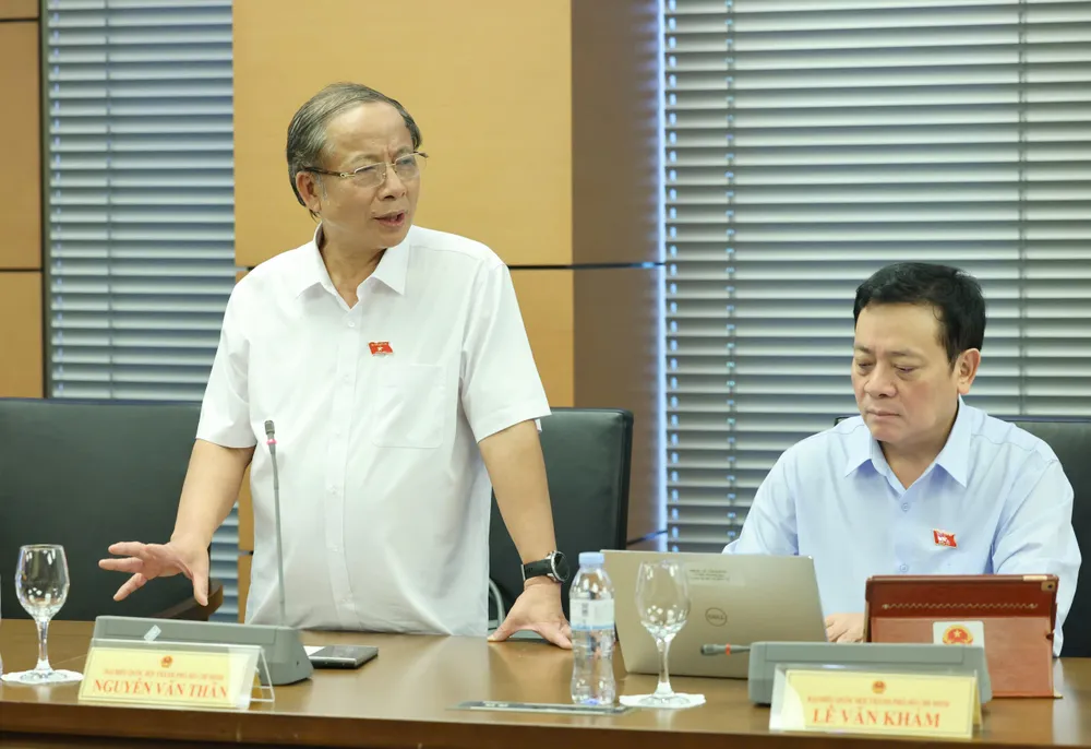 ĐBQH ủng hộ doanh thu dưới 1 tỷ đồng/năm, hộ kinh doanh không phải chịu thuế - Ảnh 3