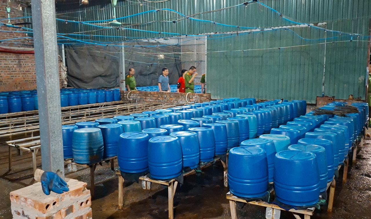 Cận cảnh bên trong cơ sở sản xuất hơn 500 tấn giá đỗ có sử dụng chất độc hại - Ảnh 2
