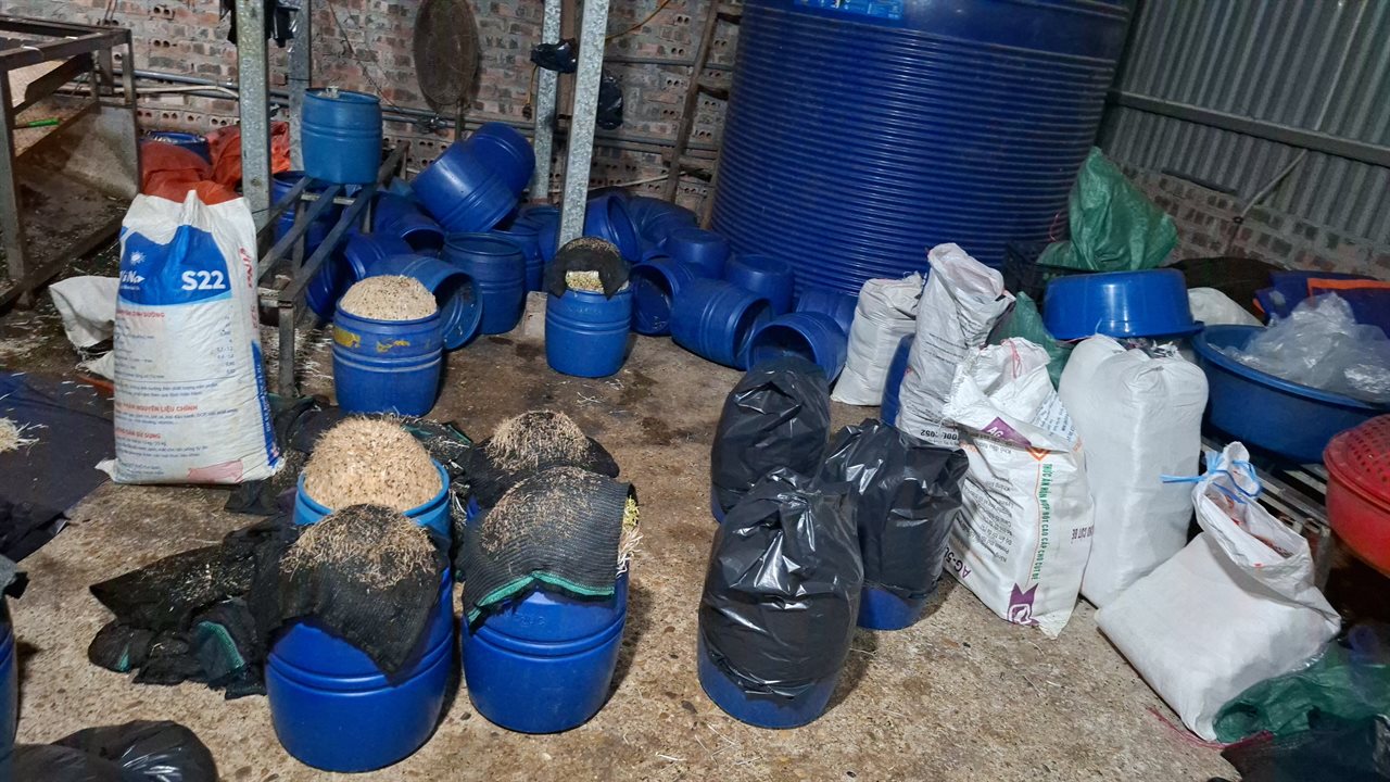 Cận cảnh bên trong cơ sở sản xuất hơn 500 tấn giá đỗ có sử dụng chất độc hại - Ảnh 3