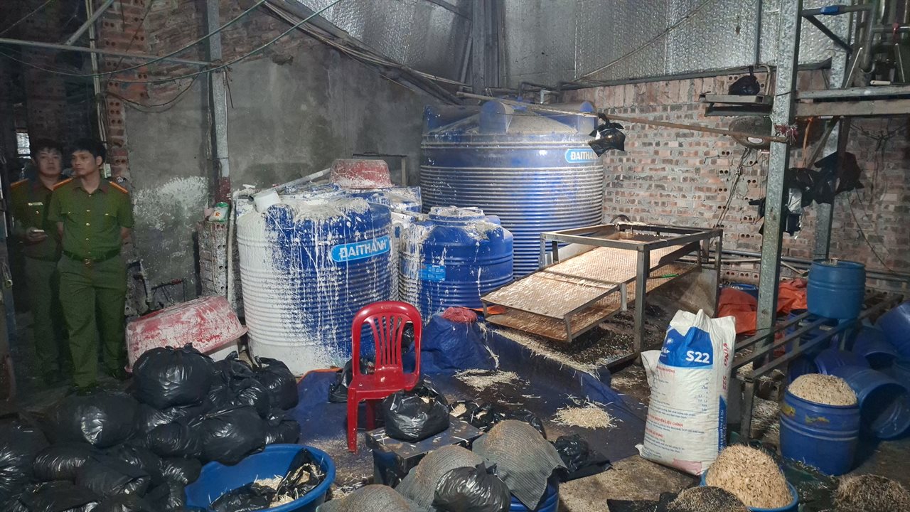 Cận cảnh bên trong cơ sở sản xuất hơn 500 tấn giá đỗ có sử dụng chất độc hại - Ảnh 4
