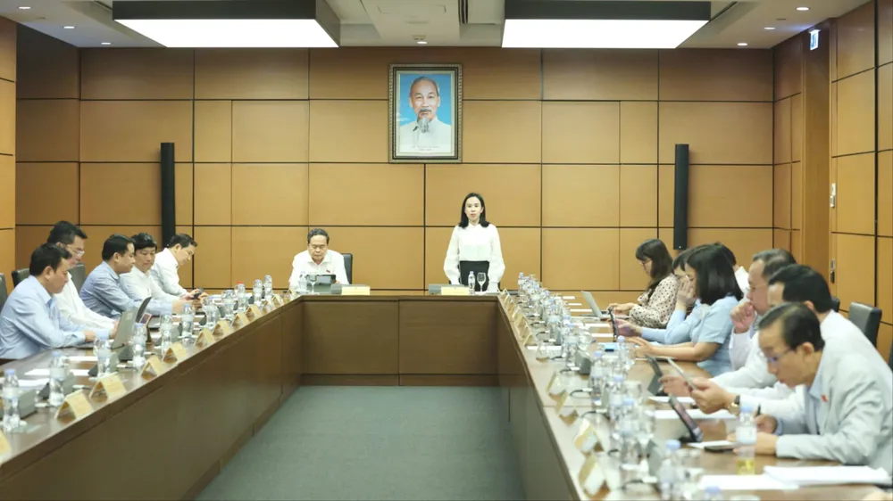 ĐBQH ủng hộ doanh thu dưới 1 tỷ đồng/năm, hộ kinh doanh không phải chịu thuế - Ảnh 1