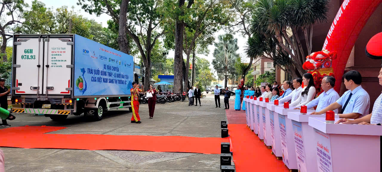 Đồng Tháp xuất khẩu lô bưởi đầu tiên sang Úc - Ảnh 1