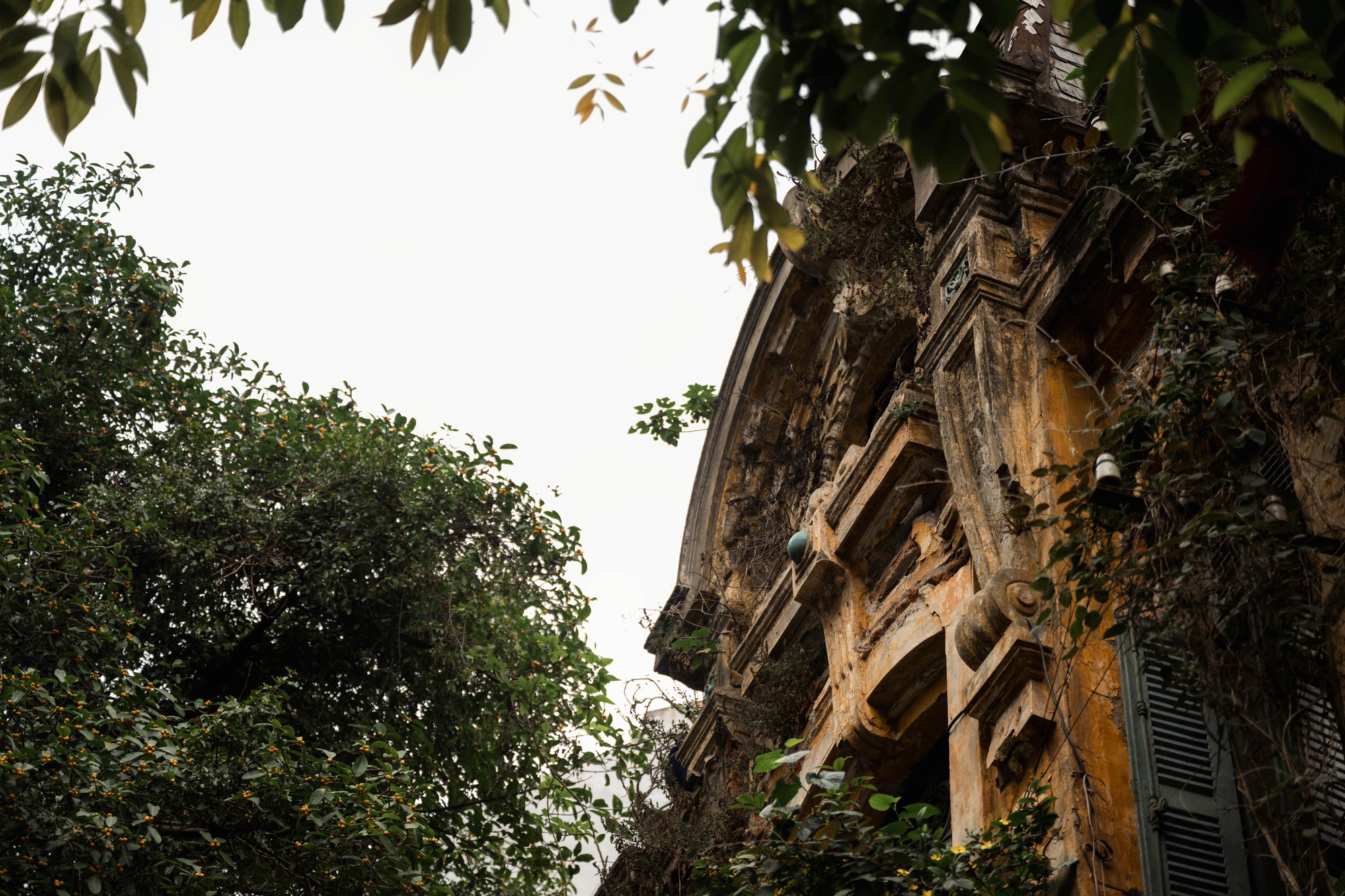 Chuyện chưa kể về căn biệt thự 57B Hàng Bồ giữa lòng Hà Nội: Cuộc sống hiện tại khiến nhiều người ngỡ ngàng - Ảnh 14