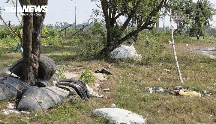 Công trình hơn 185 tỷ làm gần 1 thập kỷ không xong, thành nơi chăn thả bò - Ảnh 8