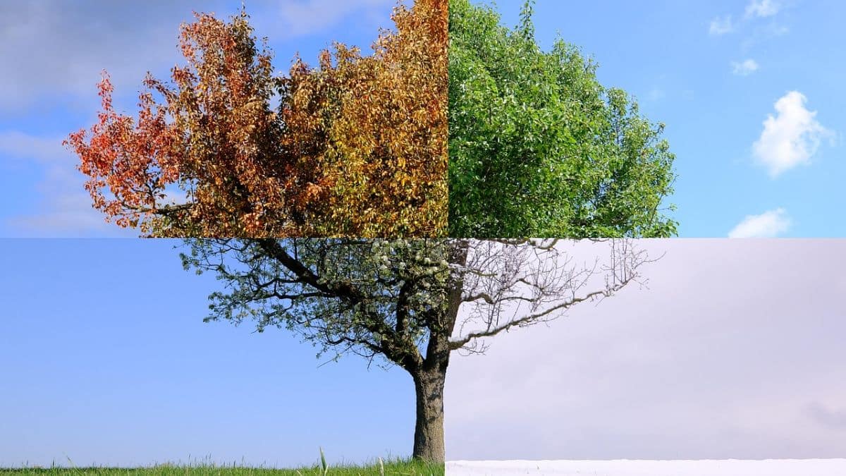 Lần đầu tiên, chúng ta đang không ở trong mùa nào - Ảnh 1