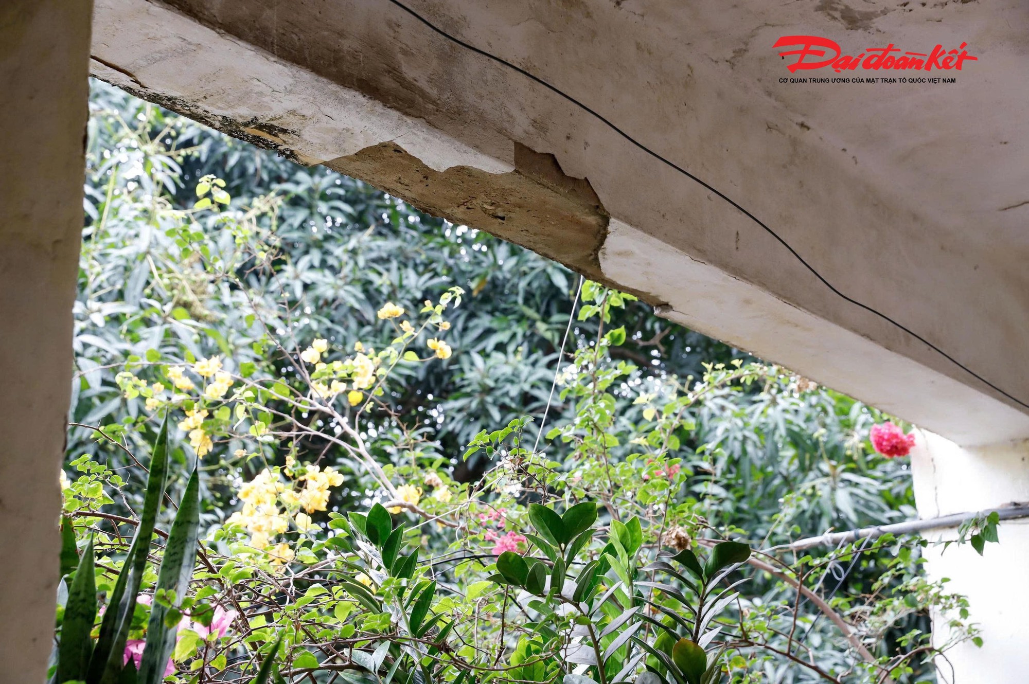 Toàn cảnh khu tập thể xuống cấp, Hà Nội sắp thay thế bằng chung cư 34 tầng - Ảnh 16