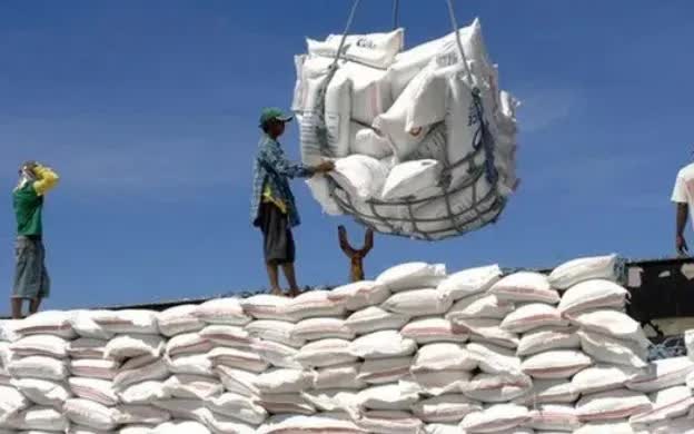 Giá lúa gạo tiếp đà tăng, gạo thơm chạm ngưỡng 500 USD/tấn - Ảnh 1