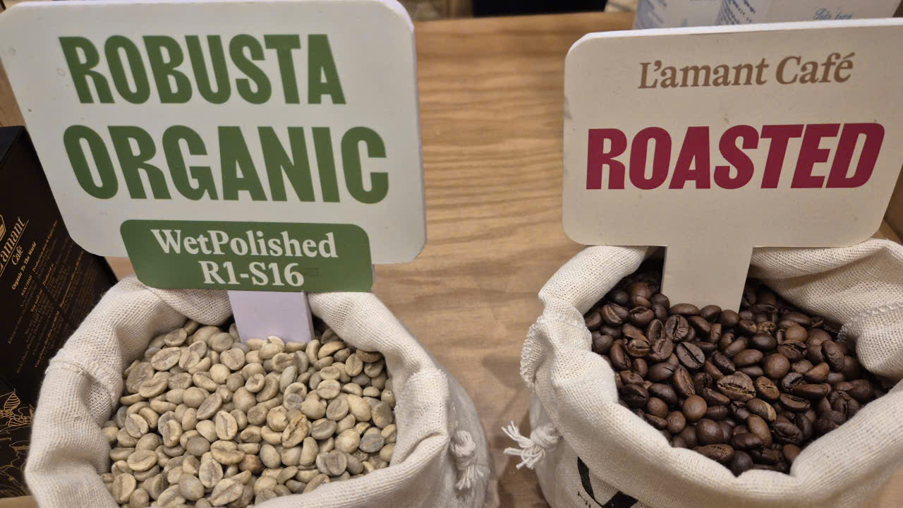 Giá cà phê hôm nay 2-4: “Vua xuất khẩu” lên kế hoạch trồng 24.000 ha, vượt cả bầu Đức - Ảnh 2