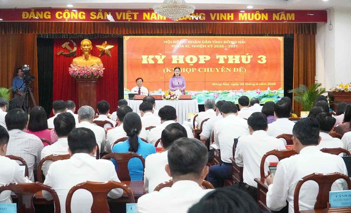 Đồng Nai đầu tư 3 dự án hạ tầng giao thông quan trọng hơn 110.000 tỉ đồng - Ảnh 2