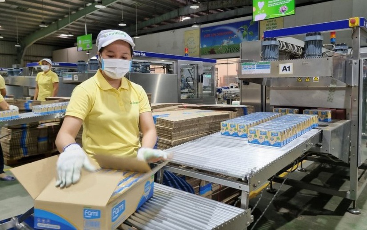 Một công ty sắp chốt ngày trả cổ tức 20% bằng tiền mặt, duy trì mức 40% năm thứ ba liên tiếp