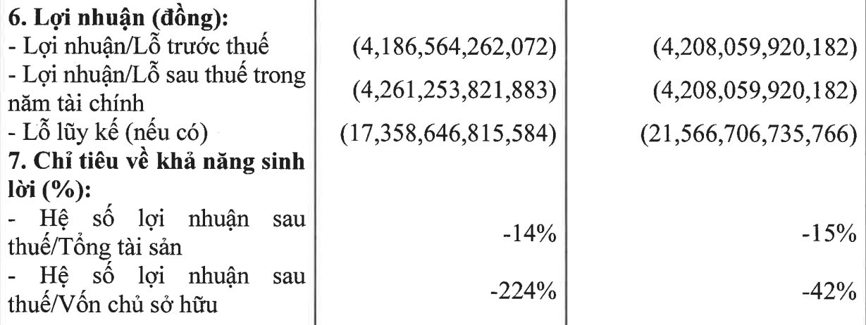 Đại gia nắm DA 1,3 tỷ USD ở KCN Cái Mép, có kho ngầm chứa khí gas lớn nhất Đông Nam Á: Lỗ lũy kế hơn 21.500 tỷ đồng - Ảnh 2