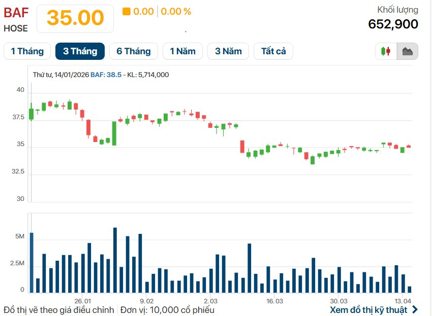 BAF muốn chia thưởng và trả cổ tức 20%, đưa CEO Siba Holdings vào Hội đồng quản trị - Ảnh 1