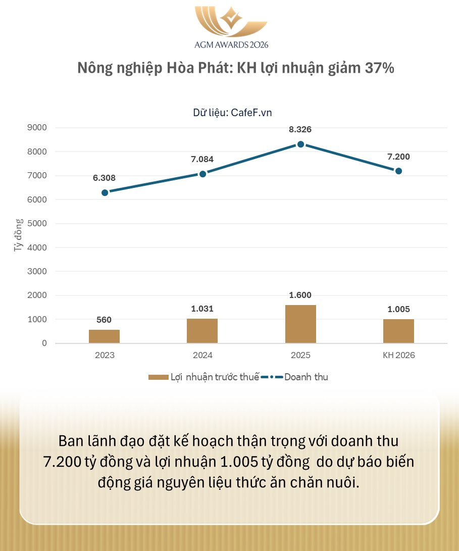 Đâu là mảng sinh lời tốt nhất của Hòa Phát? - Ảnh 5