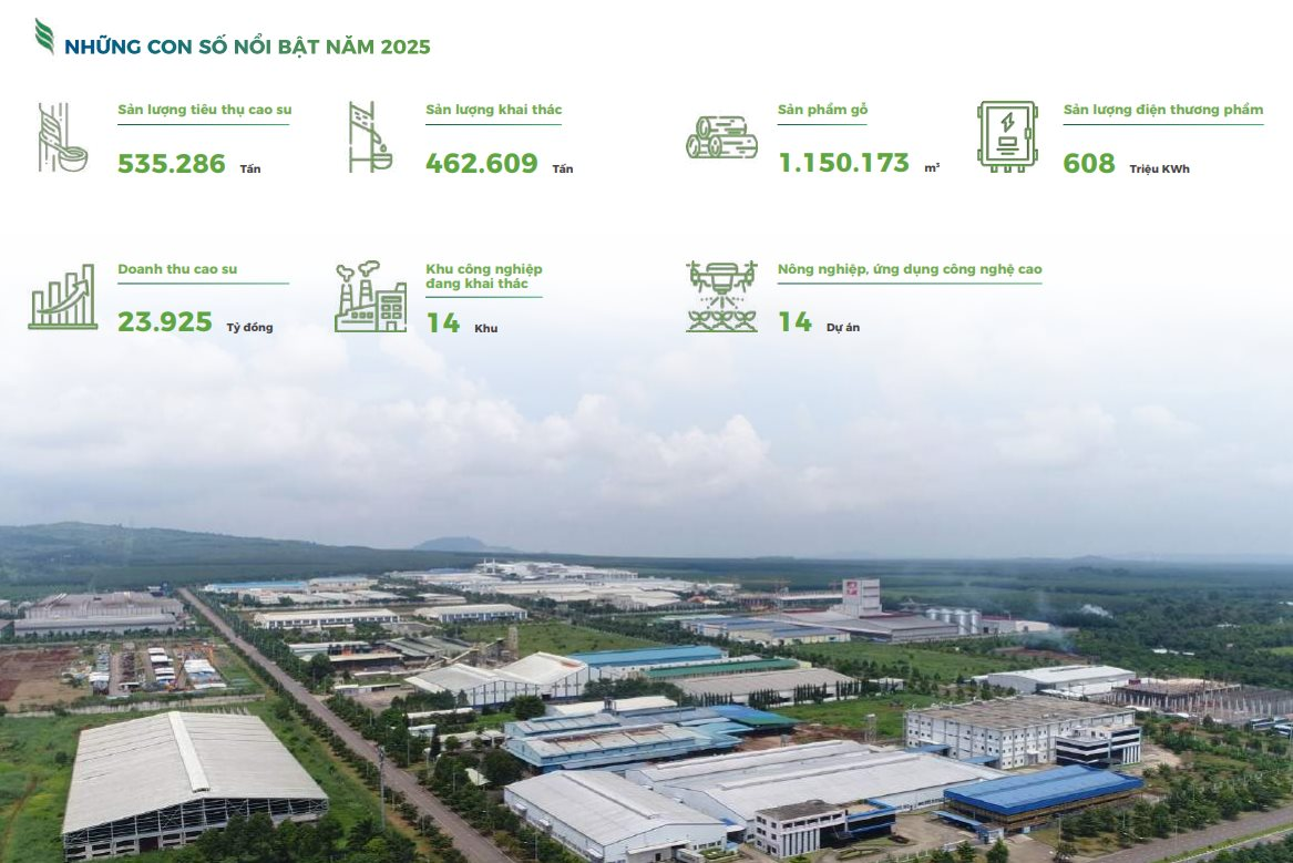 Một tập đoàn Nhà nước trả cho nhân sự trung bình 53 triệu đồng/tháng - Ảnh 2