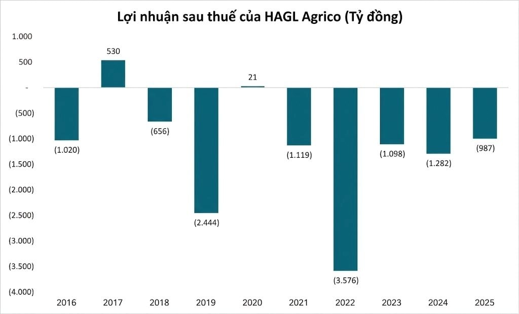Công ty Nông nghiệp của tỷ phú Trần Bá Dương lỗ luỹ kế hơn 10.000 tỷ đồng, kiểm toán nghi ngờ khả năng hoạt động liên tục - Ảnh 1