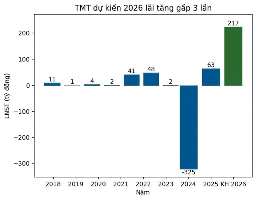 Đại gia buôn ô tô dự kiến 2026 lãi tăng gấp 3 lần, đánh mạnh sang xe điện - Ảnh 1