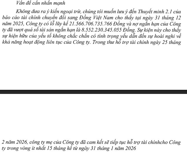 Đại gia nắm DA 1,3 tỷ USD ở KCN Cái Mép, có kho ngầm chứa khí gas lớn nhất Đông Nam Á: Lỗ lũy kế hơn 21.500 tỷ đồng - Ảnh 3