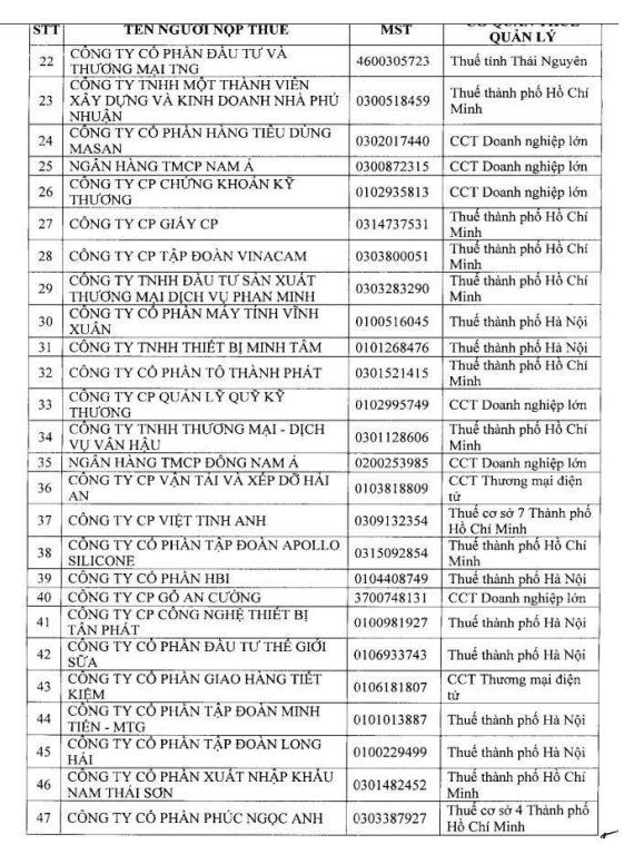 Cục Thuế công bố danh sách 108 doanh nghiệp trong kế hoạch kiểm tra năm 2026: Có những doanh nghiệp lớn nào? - Ảnh 3