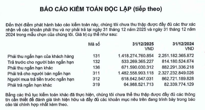 Xây dựng Hòa Bình (HBC): Kiểm toán chưa thể xác minh 4.800 tỷ tài sản, lãnh đạo nói gì? - Ảnh 2