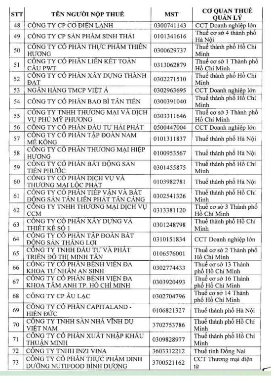 Cục Thuế công bố danh sách 108 doanh nghiệp trong kế hoạch kiểm tra năm 2026: Có những doanh nghiệp lớn nào? - Ảnh 4