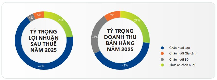 ĐHCĐ Nông nghiệp Hòa Phát: Lãi 345 tỷ đồng quý I/2026, trả cổ tức tiền mặt tỷ lệ 36% trong năm nay - Ảnh 1