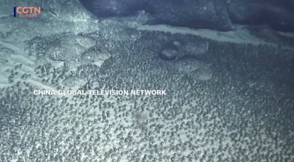 Phát hiện báu vật la liệt dưới đáy biển, Mỹ và Trung Quốc chạy đua giành phần hơn, chìa khóa cho năng lượng tương lai - Ảnh 1