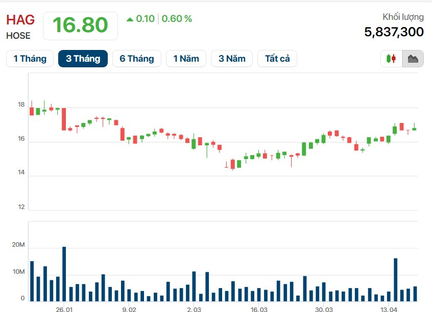 Sắp IPO công ty con, Bầu Đức tự tin: "Ai gan cam kết như HAGL, cổ tức tiền mặt 50% trong 3 năm" - Ảnh 4