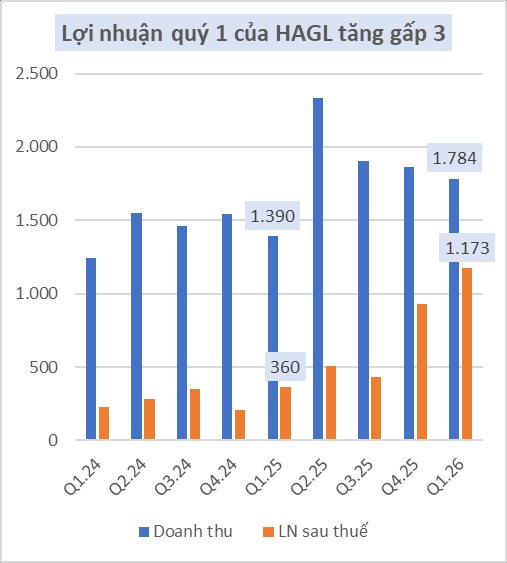 Hoàng Anh Gia Lai báo lãi quý 1 hơn 1.000 tỷ, tăng gấp 3: Điều gì đã xảy ra? - Ảnh 2