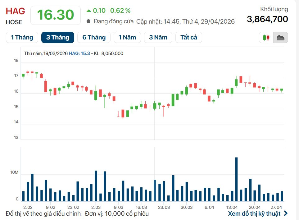 Hoàng Anh Gia Lai báo lãi quý 1 hơn 1.000 tỷ, tăng gấp 3: Điều gì đã xảy ra? - Ảnh 3