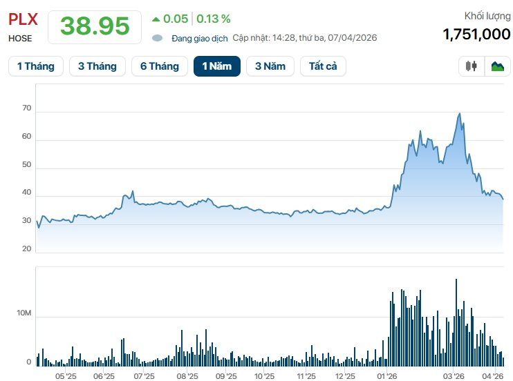 Nhà bán lẻ xăng dầu lớn nhất Việt Nam lo ngại tác động của xe điện - Ảnh 2