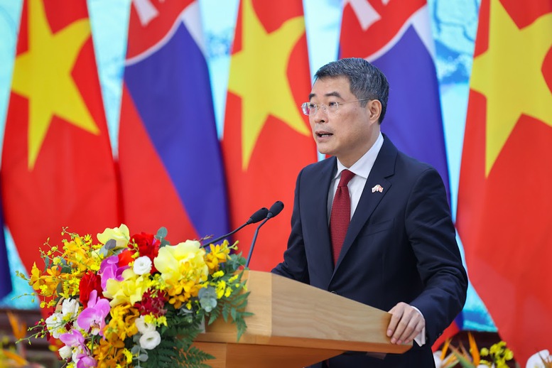 Hai Thủ tướng nhất trí nâng cấp quan hệ Việt Nam – Slovakia lên Đối tác chiến lược - Ảnh 3