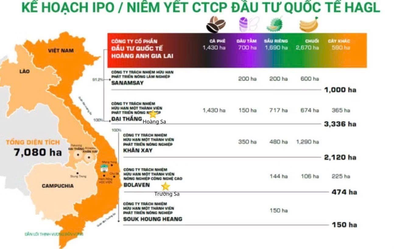 Món tài sản “ngon nhất” của Bầu Đức - Ảnh 3