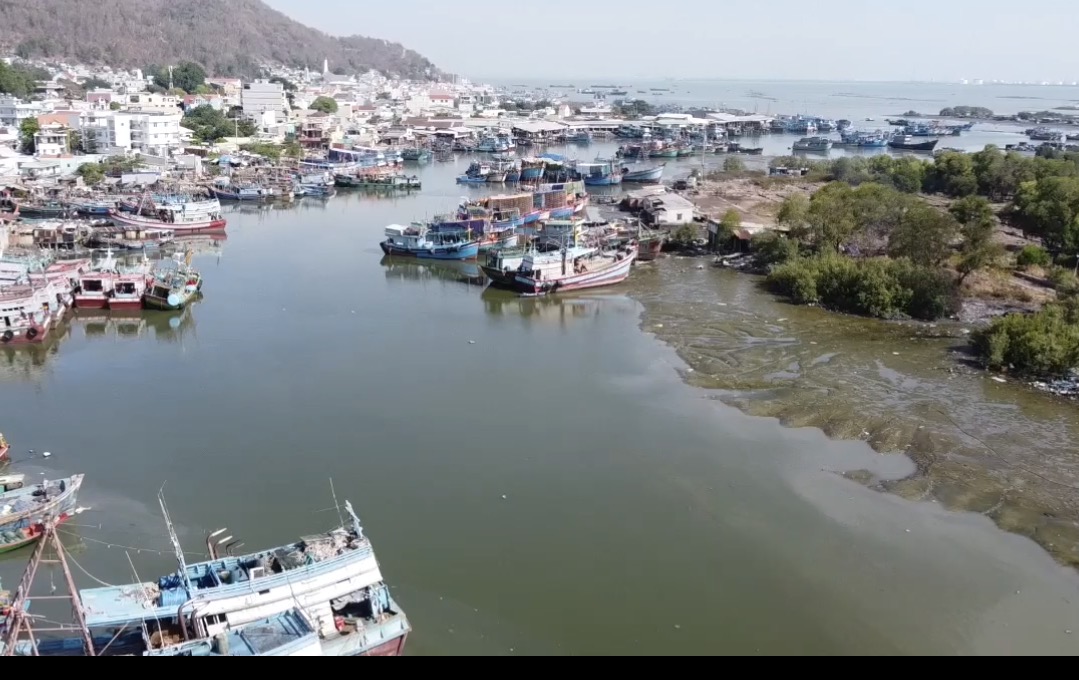 Điều chỉnh cục bộ quy hoạch chung TP Vũng Tàu cũ để triển khai đường vượt biển Cần Giờ - Vũng Tàu - Ảnh 2