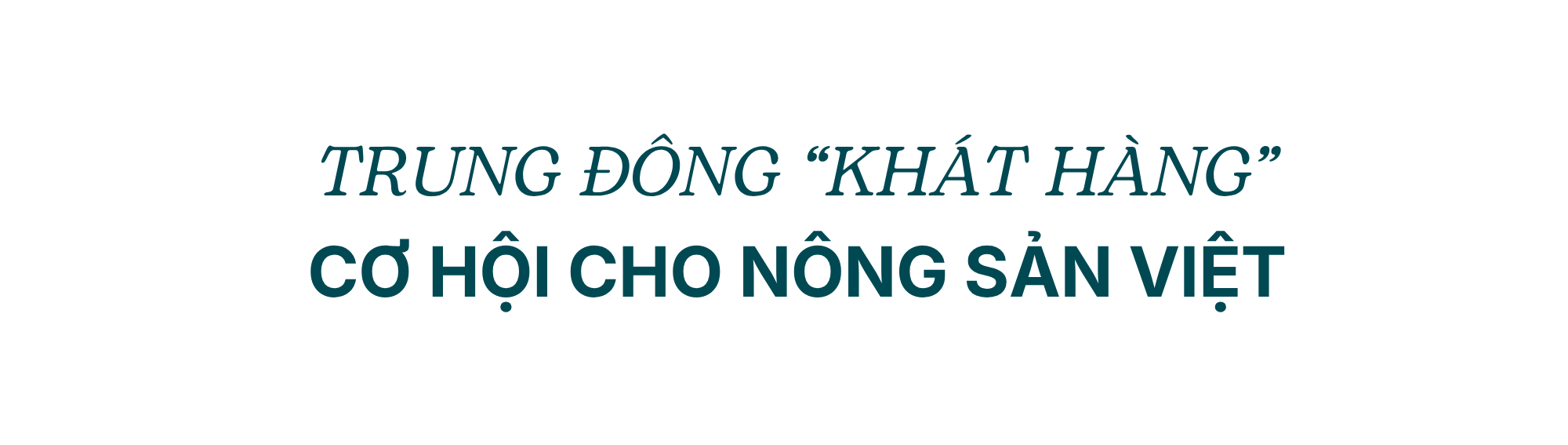 Lần đầu tiên siêu tập đoàn 8 tỷ USD thuê máy bay chở 100 tấn rau quả Việt, tin cực vui cho doanh nghiệp xuất khẩu sang Trung Đông - Ảnh 2