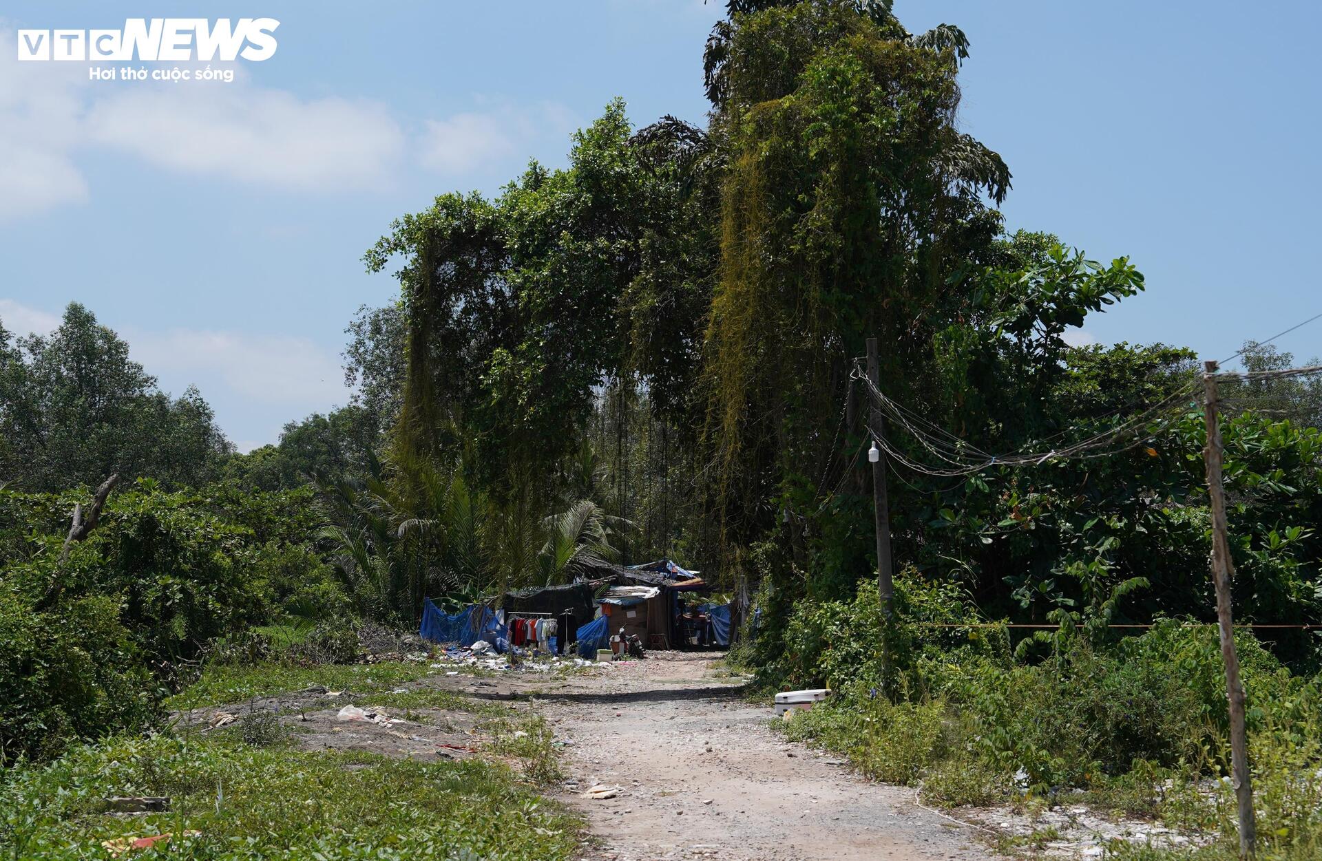 Hiện trạng dự án sắp thành khu liên hợp thể thao hơn 145.000 tỷ ở TP.HCM - Ảnh 3