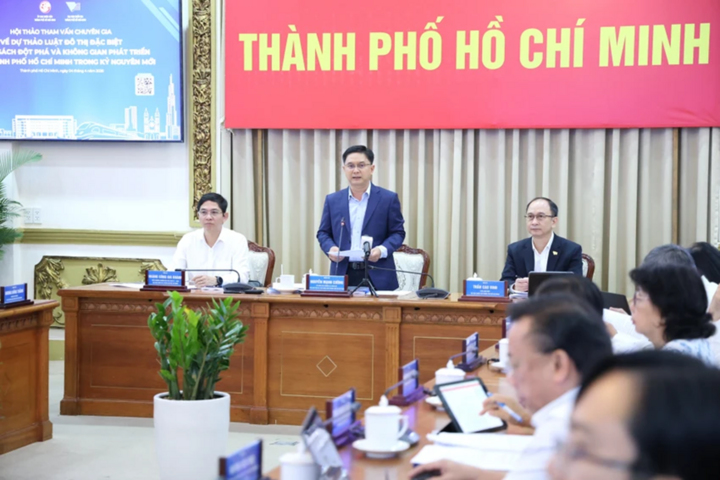 Chuyên gia hiến kế để TP.HCM xây dựng Luật Đô thị đặc biệt - Ảnh 2